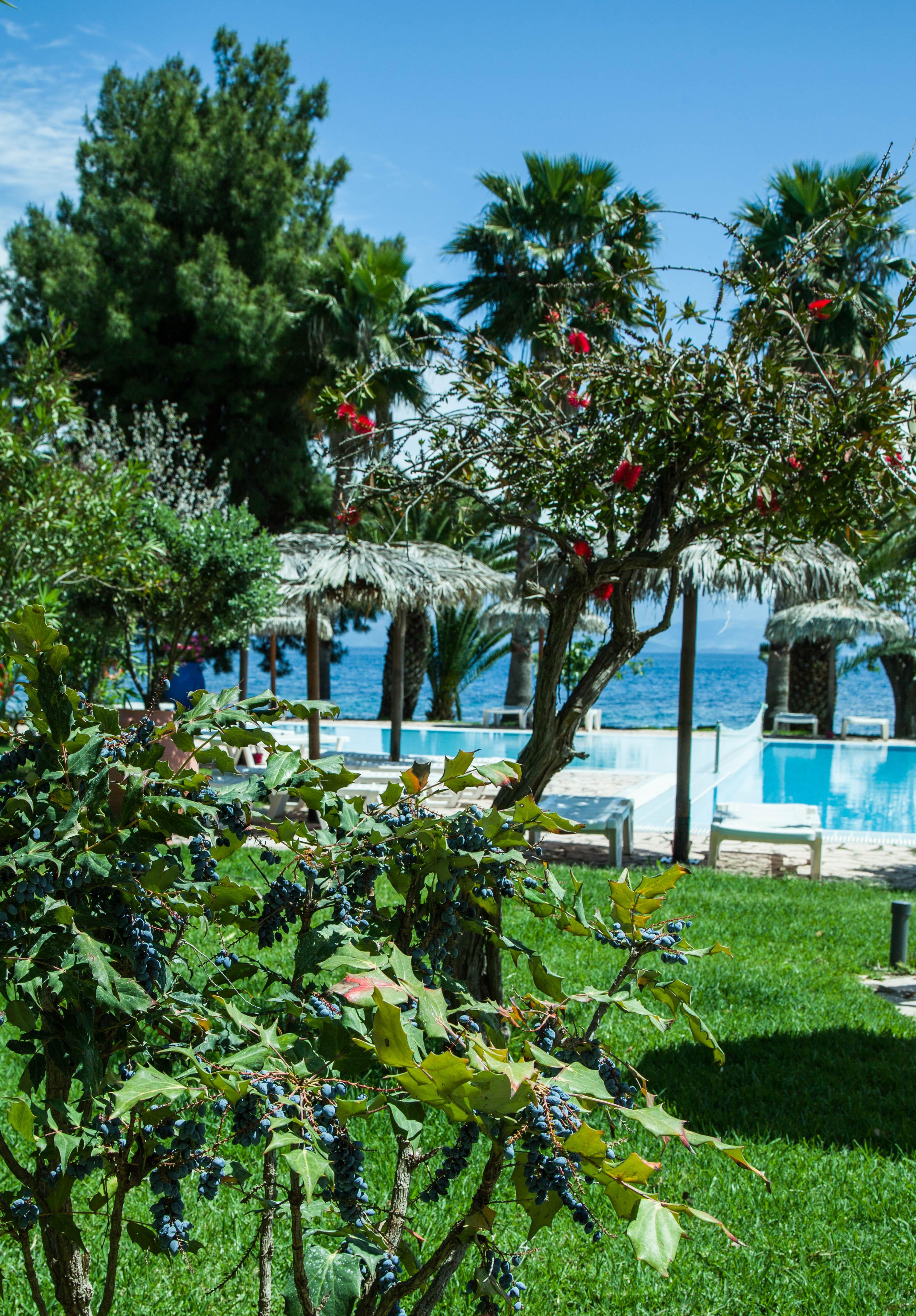 Corfu Senses Resort Agios Ioannis Peristerion Exterior foto